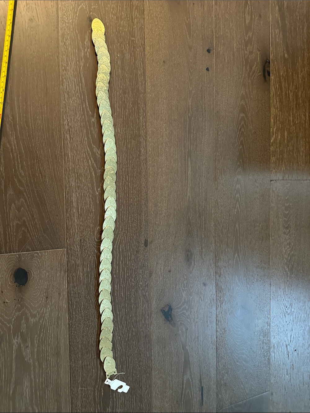 Gold Coin Link Belt